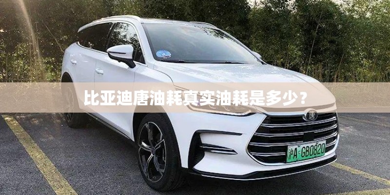 比亚迪唐油耗真实油耗是多少？