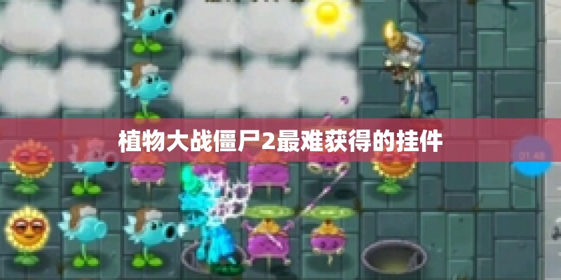 植物大战僵尸2最难获得的挂件