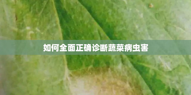 如何全面正确诊断蔬菜病虫害