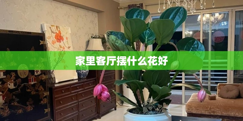 家里客厅摆什么花好