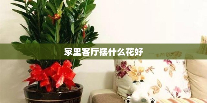 家里客厅摆什么花好