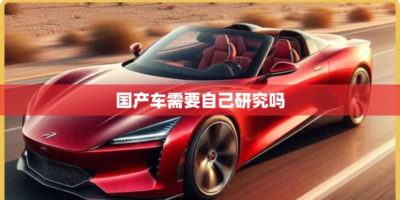 国产车需要自己研究吗