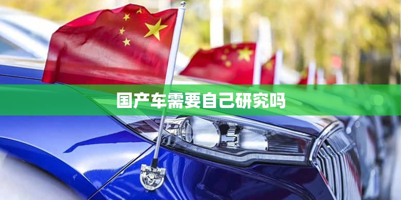 国产车需要自己研究吗