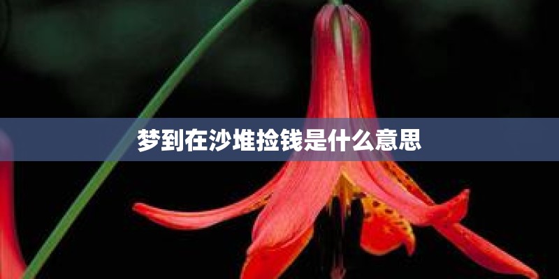 梦到在沙堆捡钱是什么意思