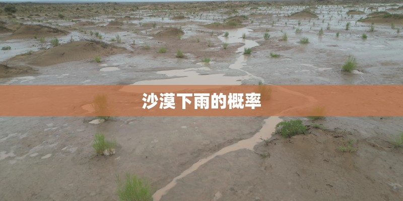 沙漠下雨的概率