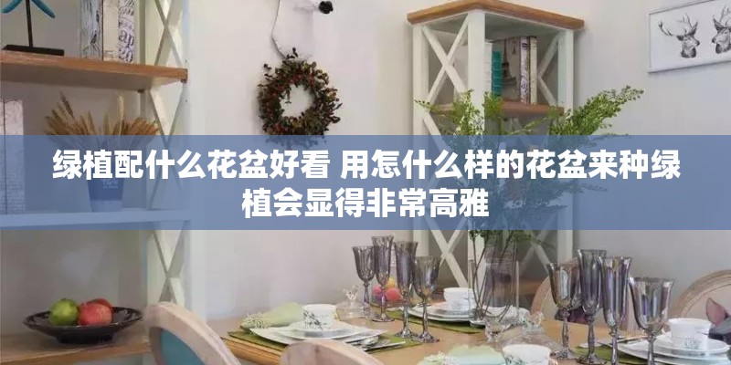 绿植配什么花盆好看 用怎什么样的花盆来种绿植会显得非常高雅