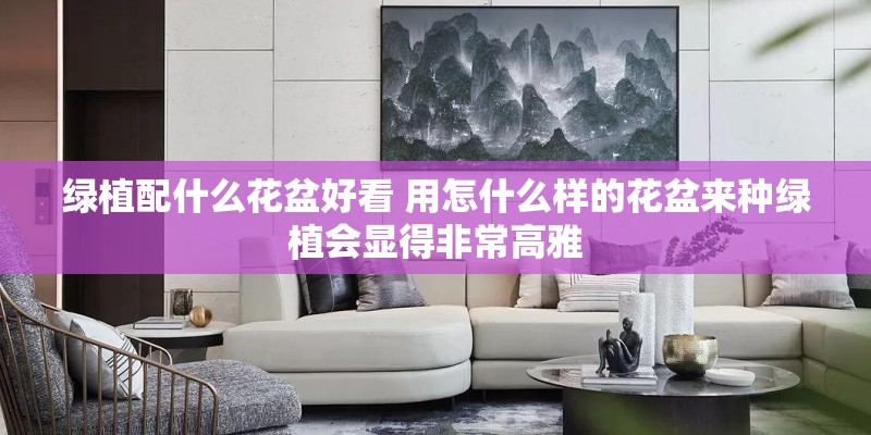 绿植配什么花盆好看 用怎什么样的花盆来种绿植会显得非常高雅