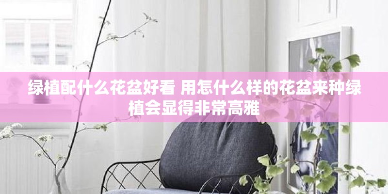 绿植配什么花盆好看 用怎什么样的花盆来种绿植会显得非常高雅