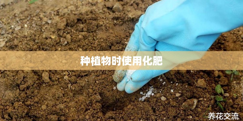 种植物时使用化肥