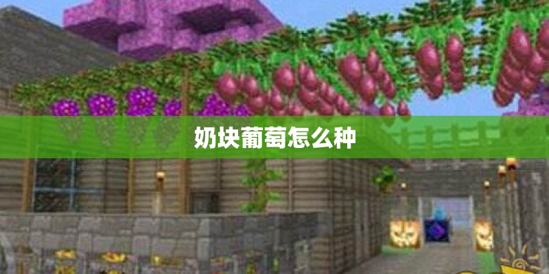 奶块葡萄怎么种