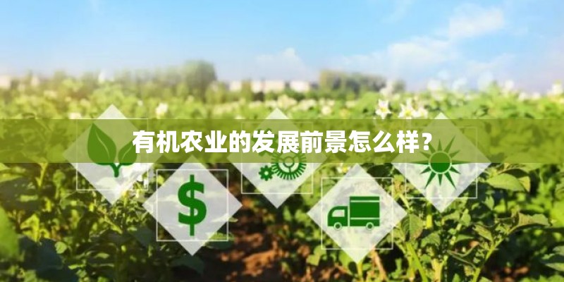 有机农业的发展前景怎么样？