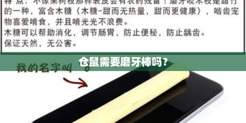 仓鼠需要磨牙棒吗? 仓鼠需要磨牙棒吗?