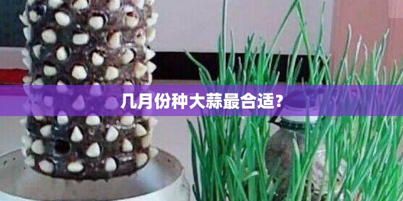 几月份种大蒜最合适？