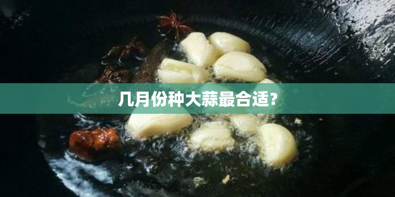 几月份种大蒜最合适？