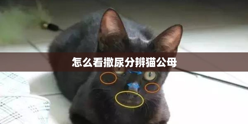 怎样进行简易无土育苗-