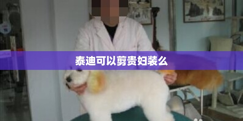泰迪可以剪贵妇装么