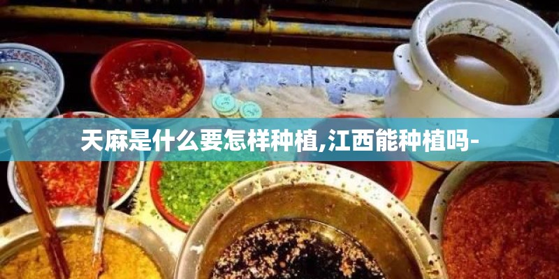 天麻是什么要怎样种植,江西能种植吗-