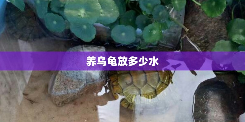 怎样进行简易无土育苗-