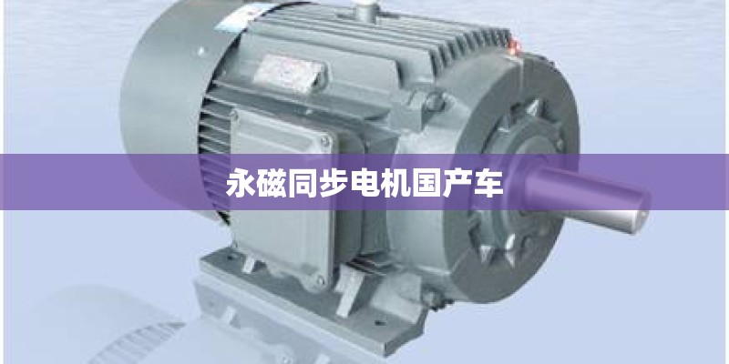 永磁同步电机国产车