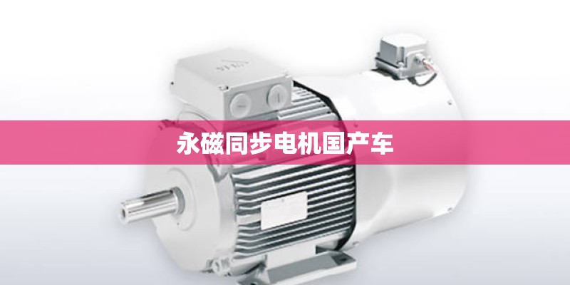 永磁同步电机国产车