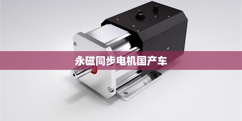 永磁同步电机国产车