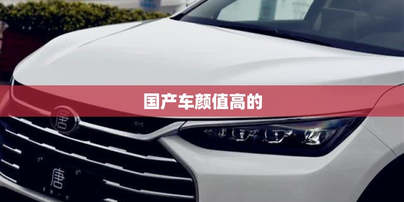 国产车颜值高的