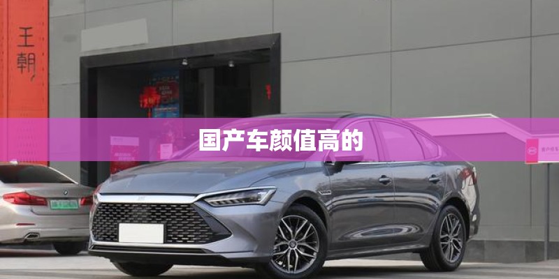 国产车颜值高的