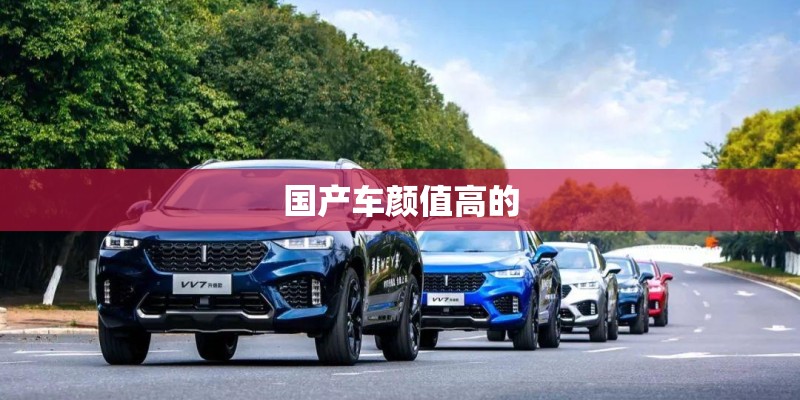 国产车颜值高的