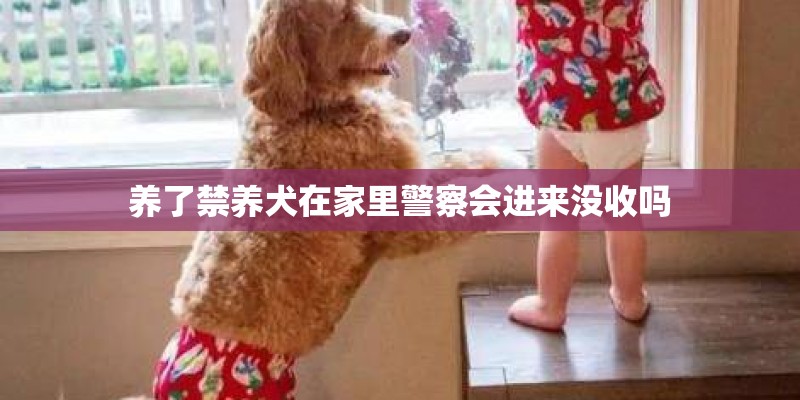 养了禁养犬在家里警察会进来没收吗