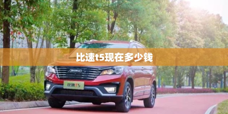 比速t5现在多少钱