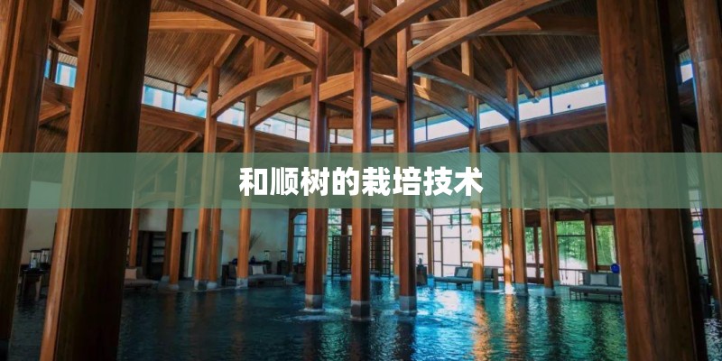 和顺树的栽培技术