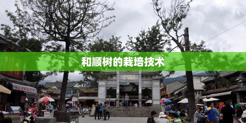 和顺树的栽培技术