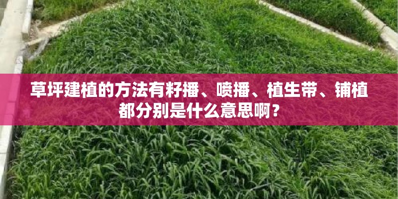 草坪建植的方法有籽播、喷播、植生带、铺植都分别是什么意思啊？