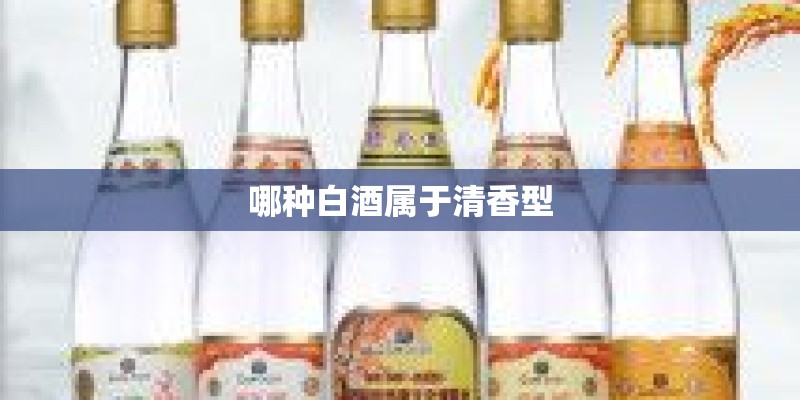 哪种白酒属于清香型
