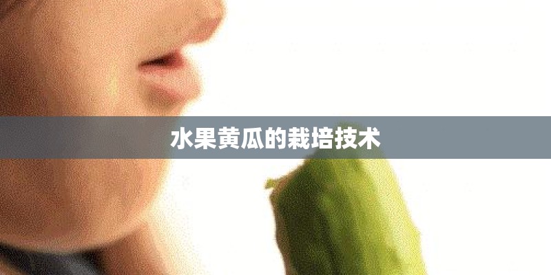 水果黄瓜的栽培技术