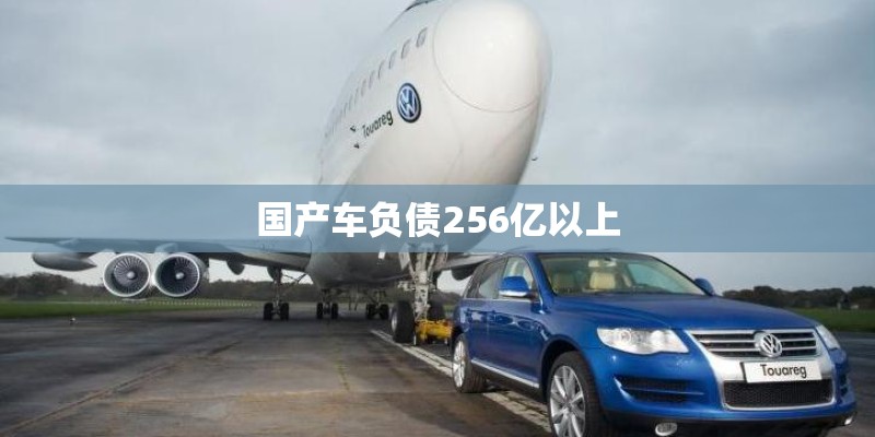 国产车负债256亿以上