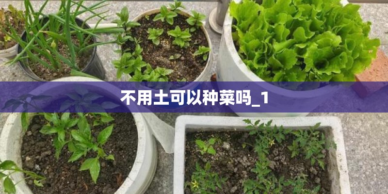 国产车销量怎么看