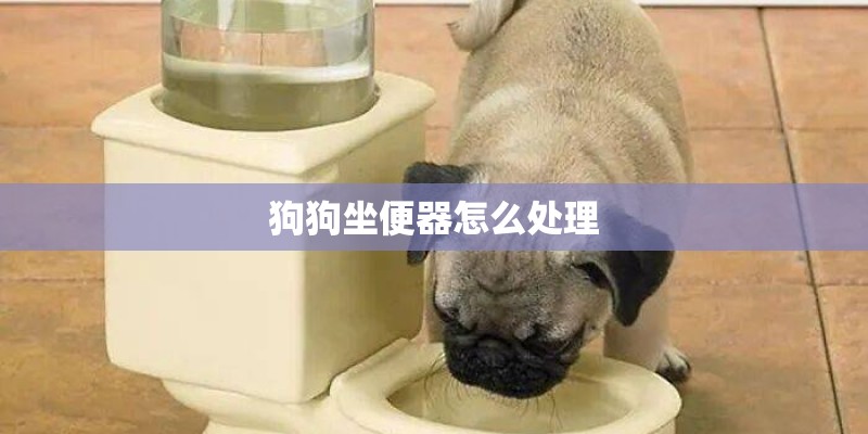 狗狗坐便器怎么处理