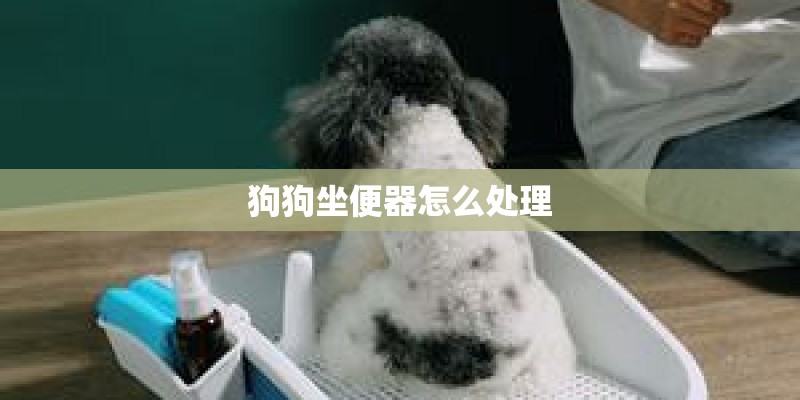 狗狗坐便器怎么处理
