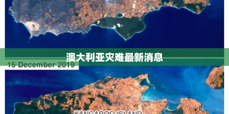 澳大利亚灾难最新消息