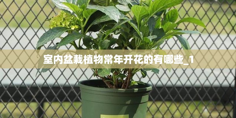 冰心10首很短的现代诗有哪些? 冰心10首很短的现代诗有哪些?