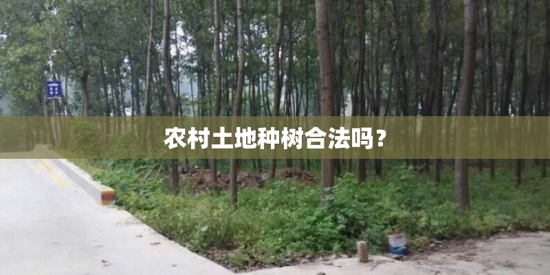 农村土地种树合法吗？
