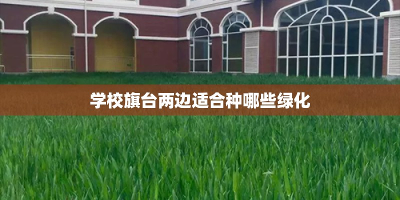 学校旗台两边适合种哪些绿化