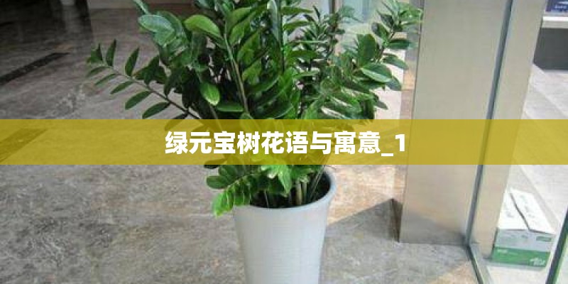 绿元宝树花语与寓意_1