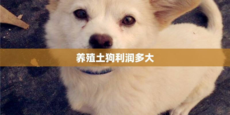 养殖土狗利润多大