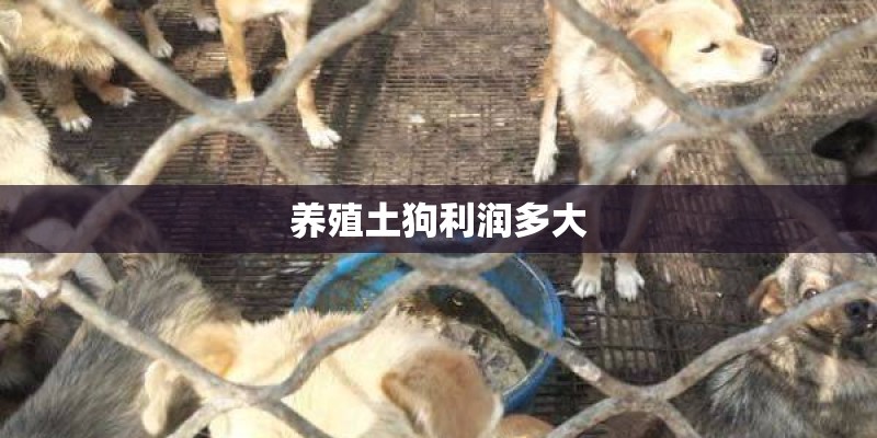 养殖土狗利润多大