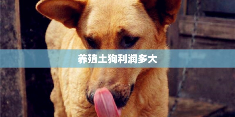养殖土狗利润多大