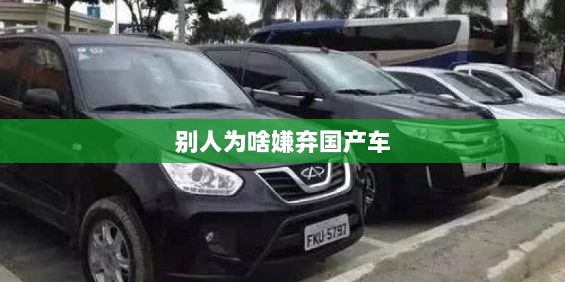别人为啥嫌弃国产车