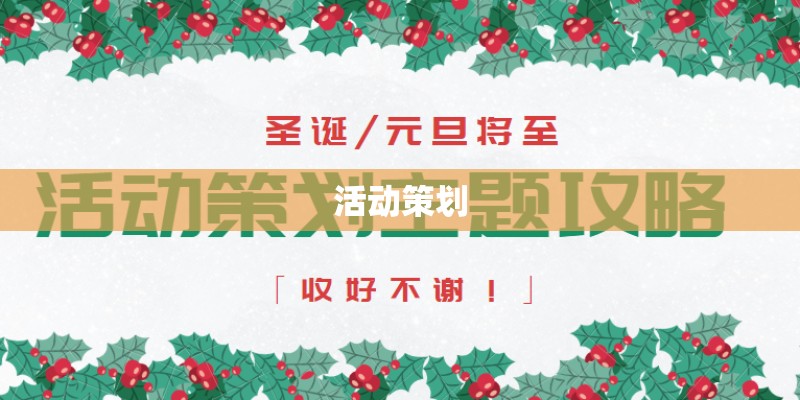 活动策划