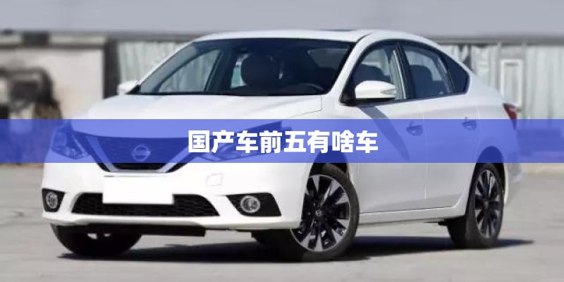 国产车前五有啥车